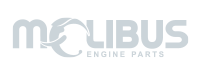 Molibus Group