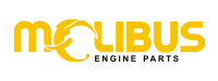 Molibus Group
